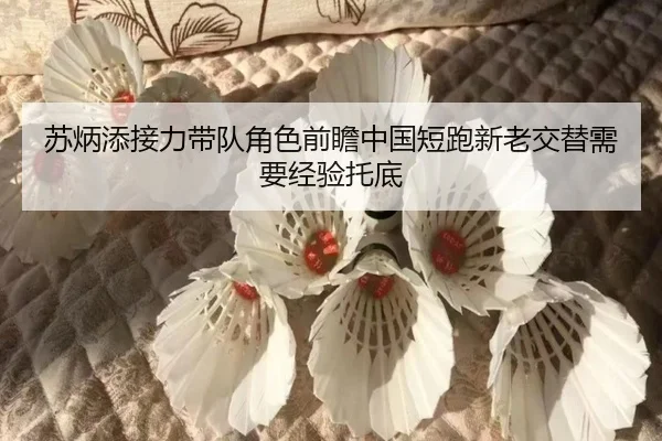 苏炳添接力带队角色前瞻中国短跑新老交替需要经验托底