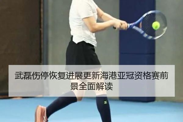 武磊伤停恢复进展更新海港亚冠资格赛前景全面解读